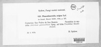 Phaeodimeriella exigua image
